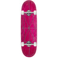 CCS Chain Web Egg1 Shaped Skateboard Complete - Assorted - 9.00"