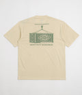 Dickies Apison T-Shirt in Wood Ash
