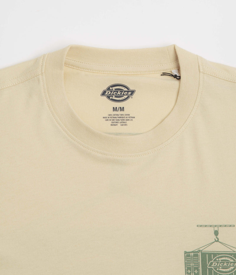 Dickies Apison T-Shirt in Wood Ash