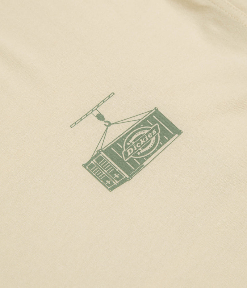 Dickies Apison T-Shirt in Wood Ash