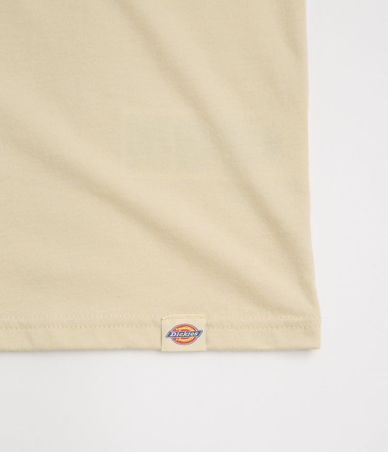 Dickies Apison T-Shirt in Wood Ash