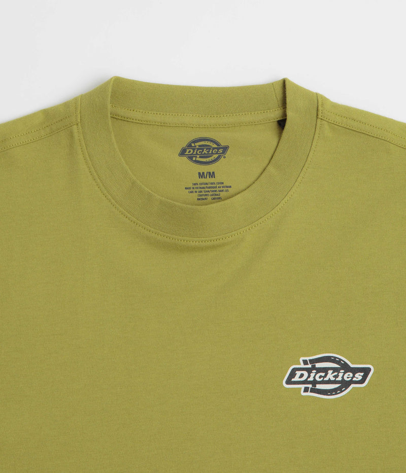 Dickies Graysville T-Shirt in Evergreen Sprig