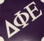 Glitter Kit - Delta Phi Epsilon