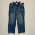 Jeans Judy Blue Size 13