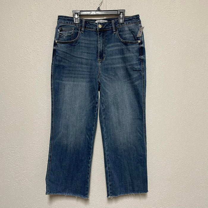 Jeans Judy Blue Size 13