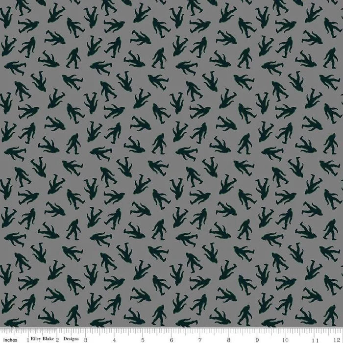 Legends of the National Parks - Bigfoot Toss Gray | Riley Blake Designs | Quilting Cotton