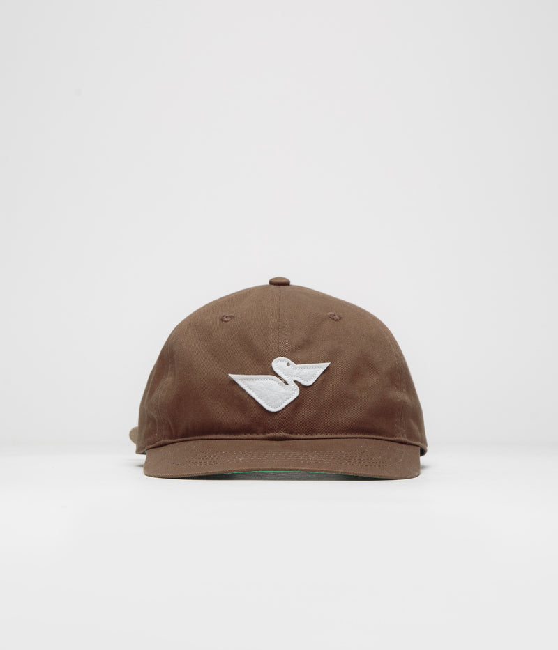 Mollusk Pelicano Cap in Brown