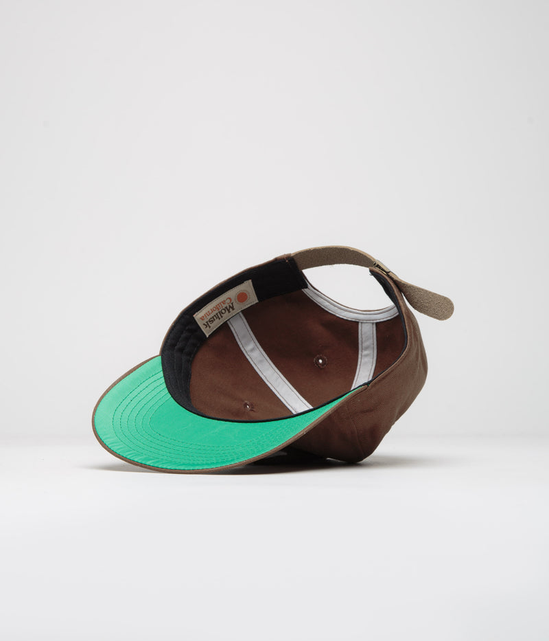 Mollusk Pelicano Cap in Brown