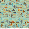 National Parks - Word Print Sea Green | Riley Blake Designs | Quilting Cotton