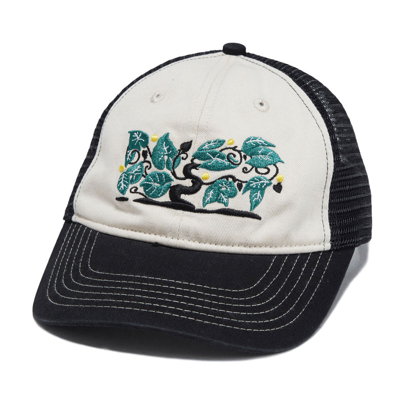 Passport Orchard Leagues Trucker Hat - Black/Off White