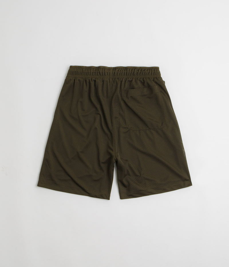 Polar Ray Shorts in Brown