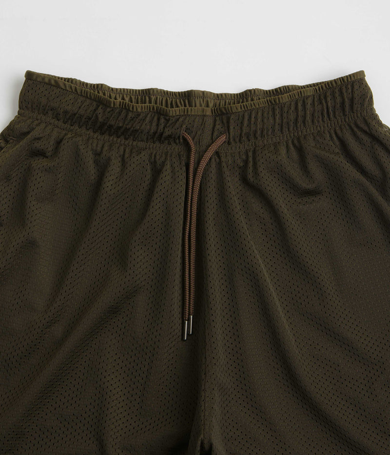 Polar Ray Shorts in Brown