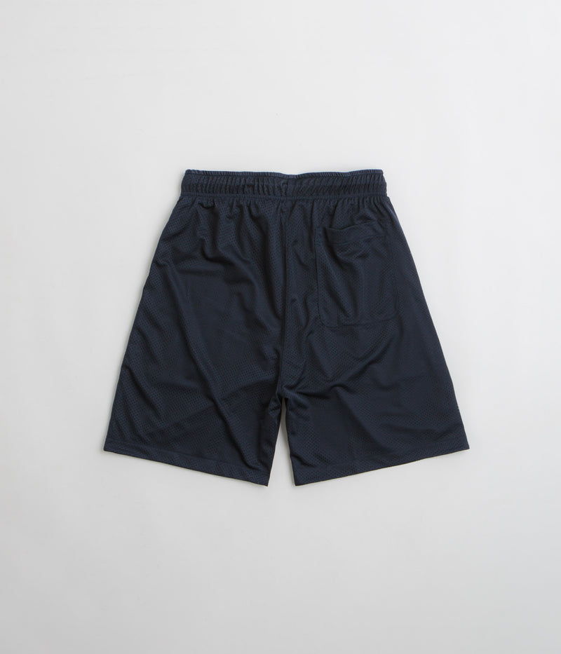 Polar Ray Shorts in Navy