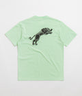 Polar Tape and Panther T-Shirt in Mint Green