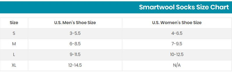 Smartwool Everyday No Show Zero Cushion Socks - Ash