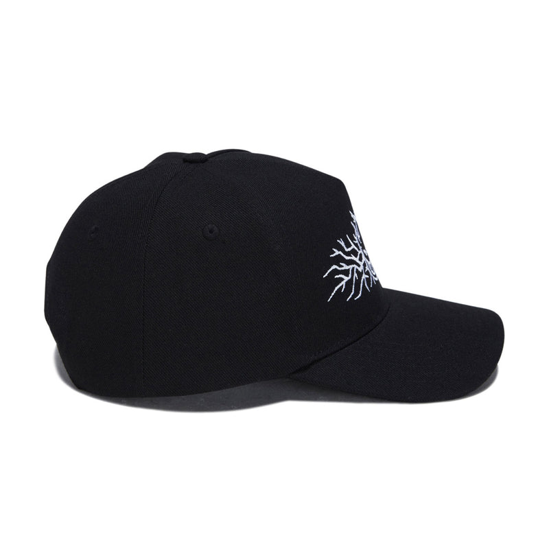 Spitfire Bighead Thorn Snapback Hat - Black/White