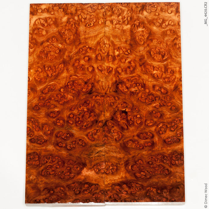 Stabilized golden amboyna burl wood panels