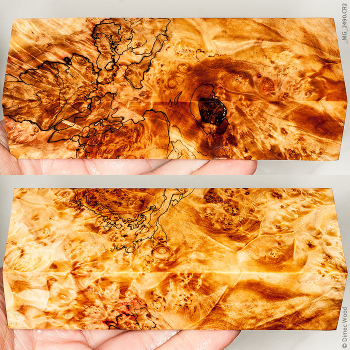 Stabilized spalted wood box elder burl block